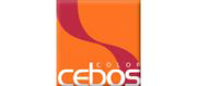 Декоративная штукатурка Cebos