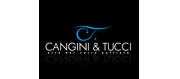 Люстры, светильники Cangini & Tucci