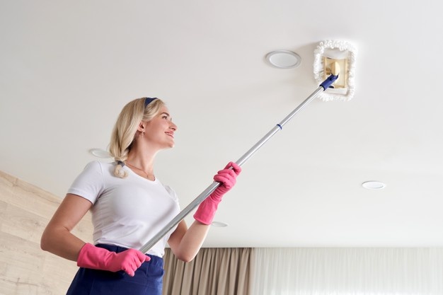 maid_cleaning_ceiling.jpg