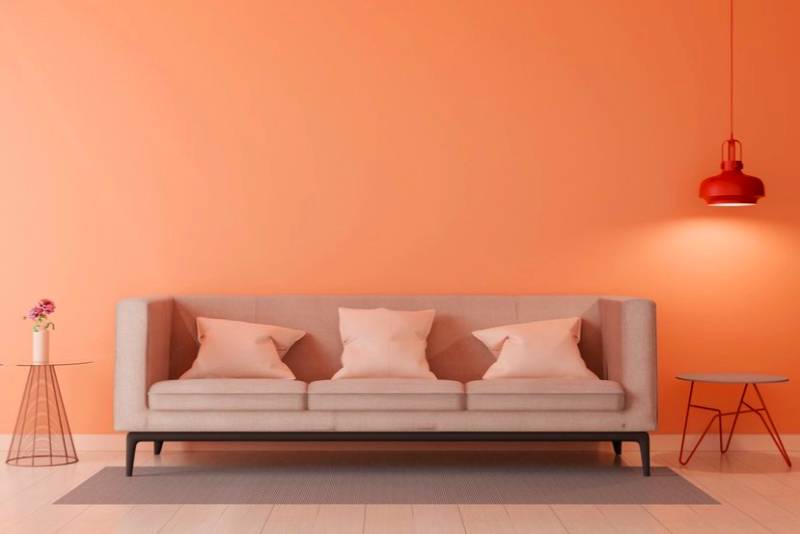 Институт цвета Pantone назвал цветом 2024 года – Peach Fuzz («персиковый пух»)