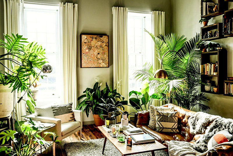 Современный интерьер гостиной 2026 – изобилие растений