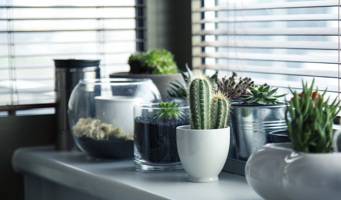 pots-gc5220ab60_1920.jpg pots-gc5220ab60_1920.jpg