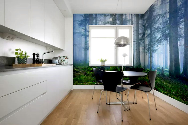 Модные обои на кухню в 2026 году – фотообои с эко-сюжетами