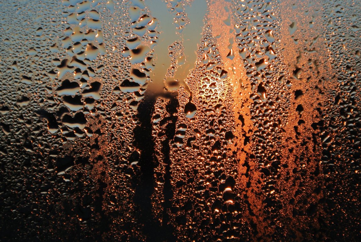 glass-2753629_1920.jpg glass-2753629_1920.jpg