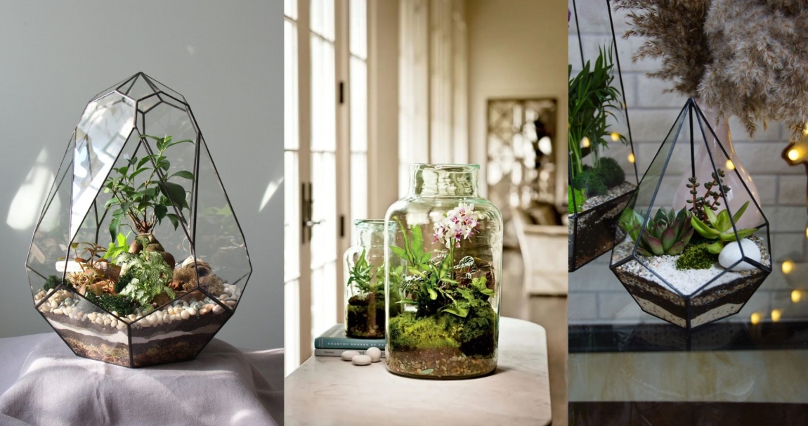 Обновите свой интерьер: 11 популярных комнатных растений.